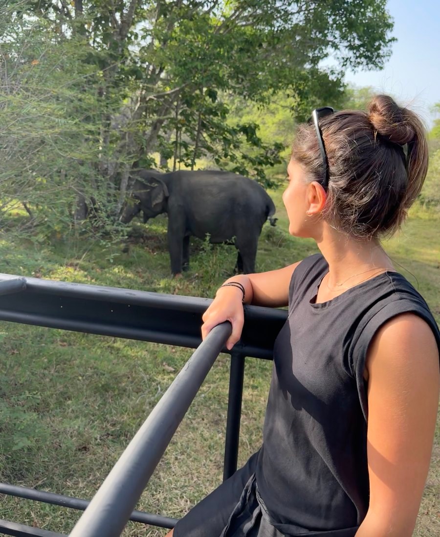 Safári com elefantes, Sri Lanka